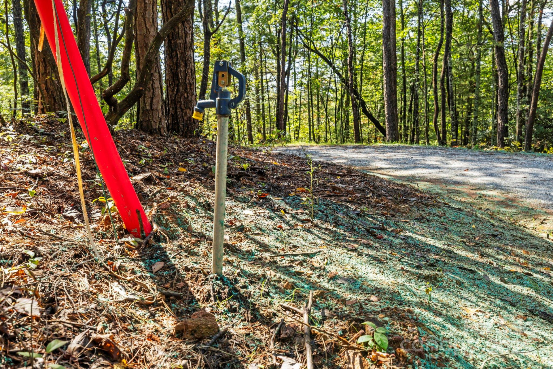 11763 Rosman Highway - Photo 17