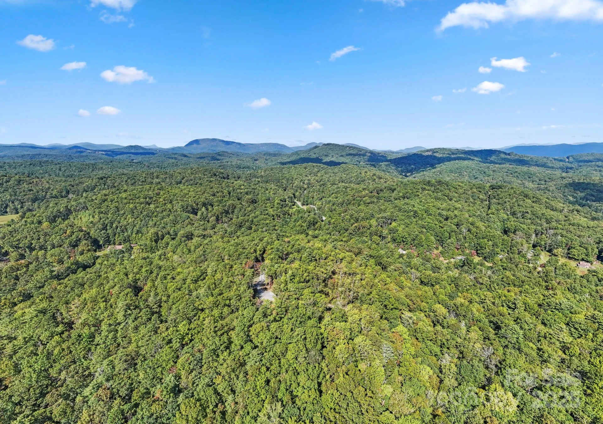 11763 Rosman Highway - Photo 21