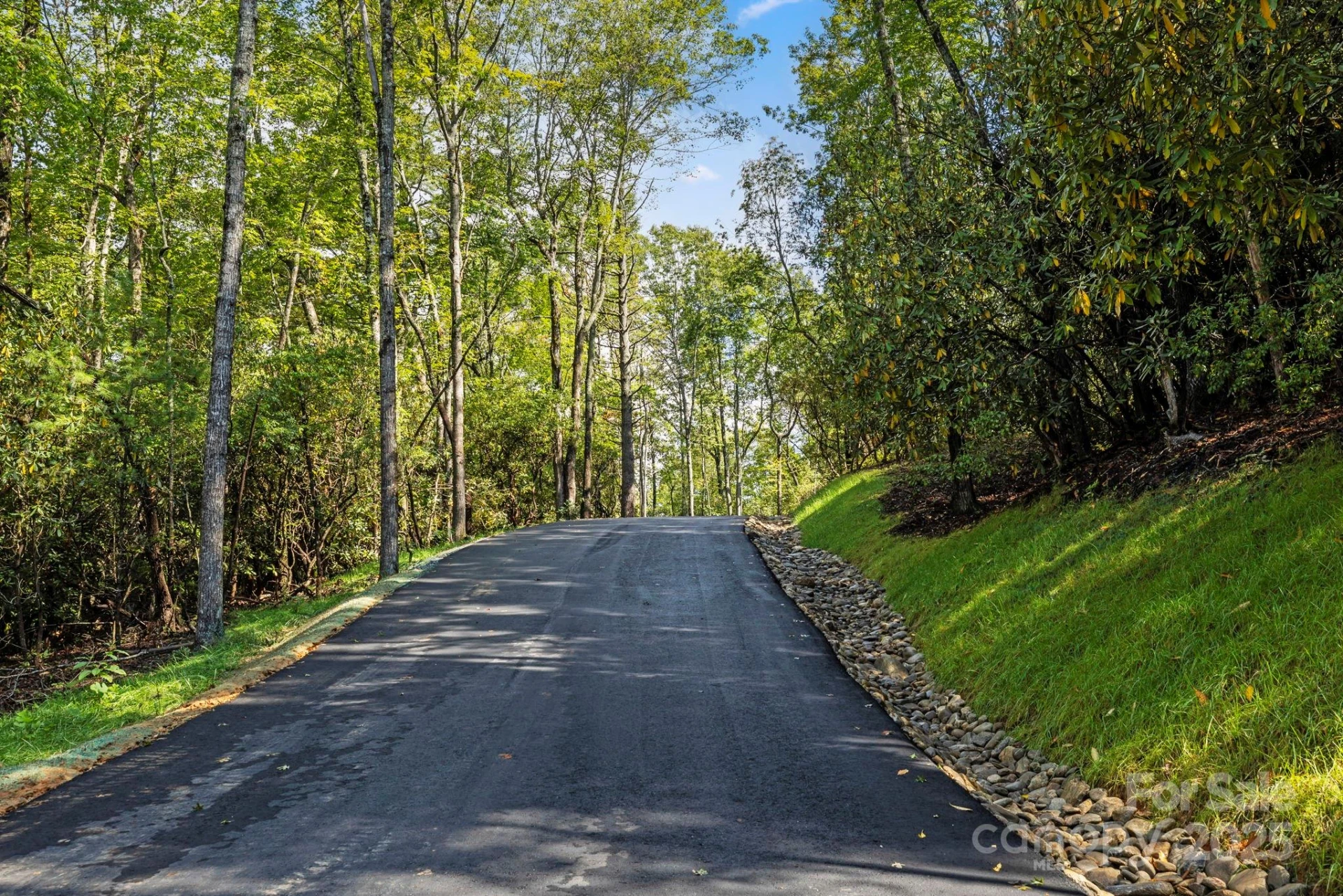 11763 Rosman Highway - Photo 24
