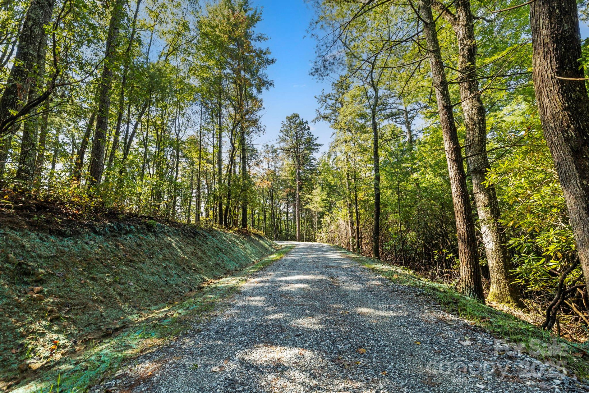 11763 Rosman Highway - Photo 27