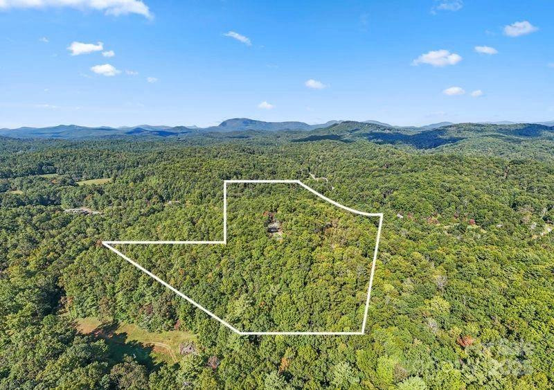 11763 Rosman Highway - Photo 32