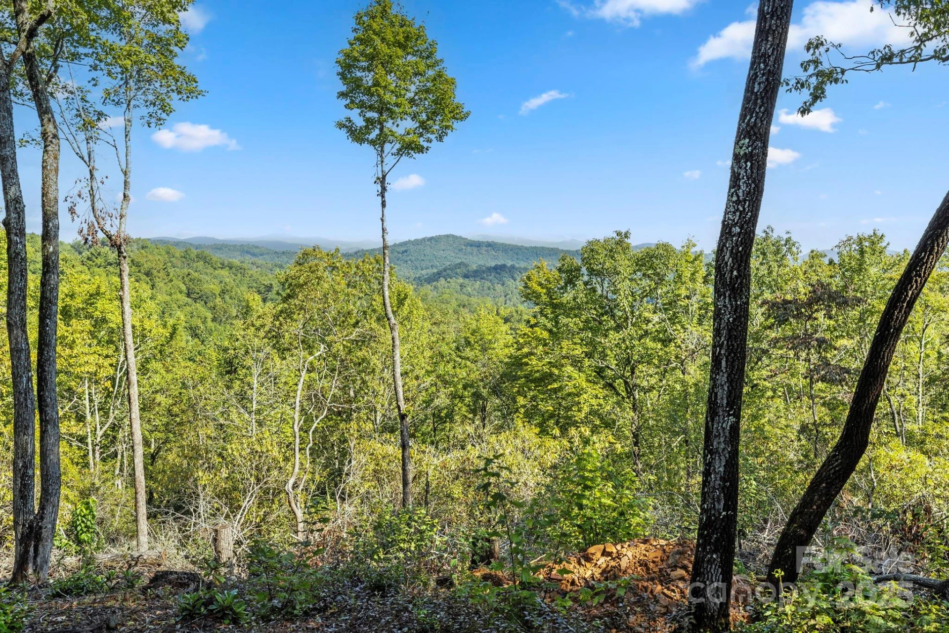 11763 Rosman Highway - Photo 5