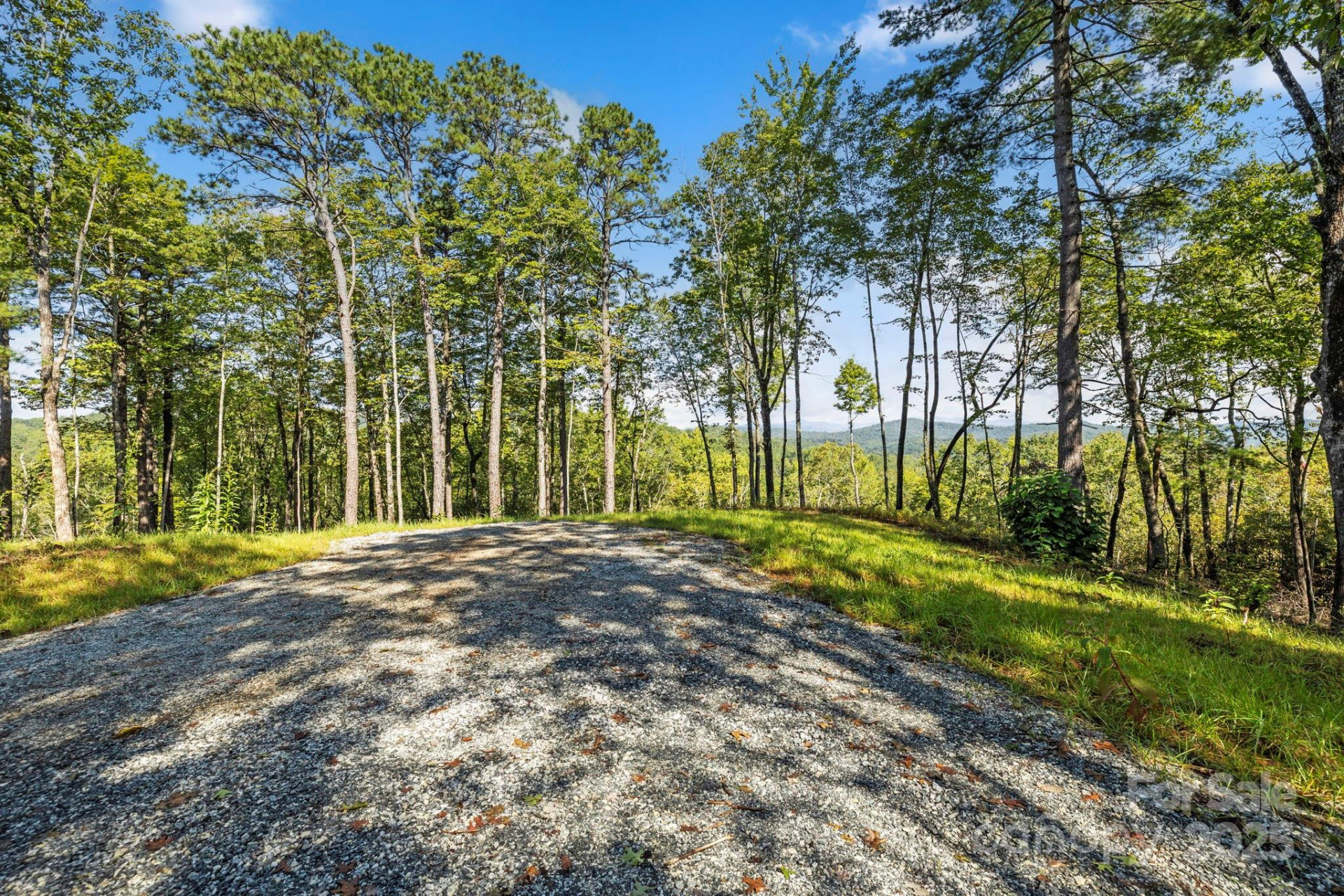 11763 Rosman Highway - Photo 6