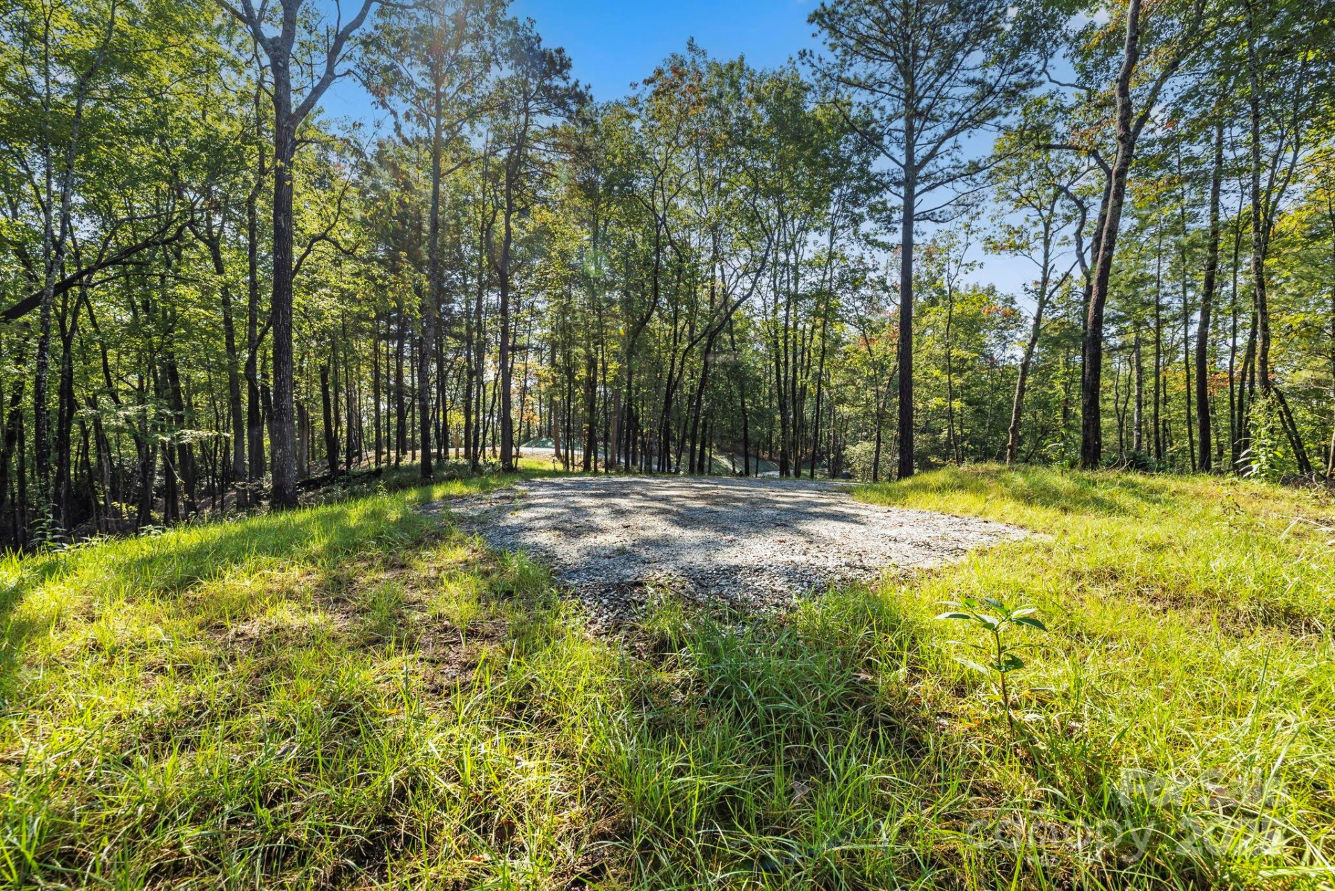 11763 Rosman Highway - Photo 7