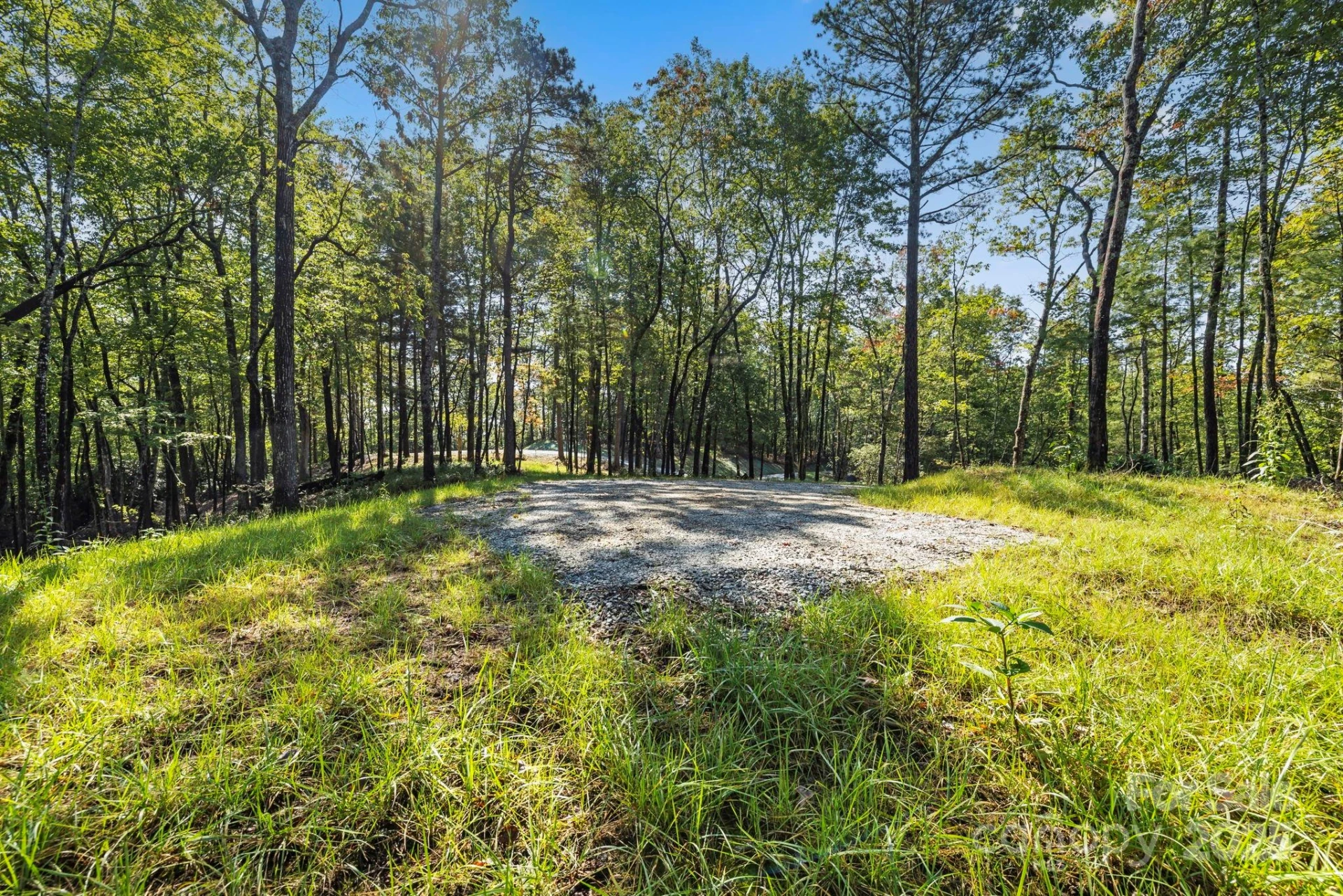 11763 Rosman Highway - Photo 7