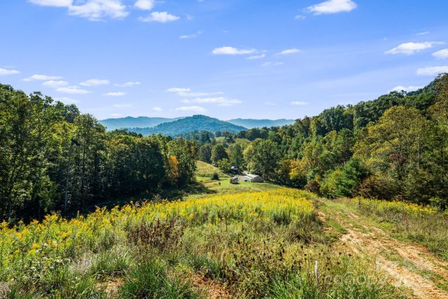 456 & 000 Maney Branch Road, Burnsville, NC, 28714