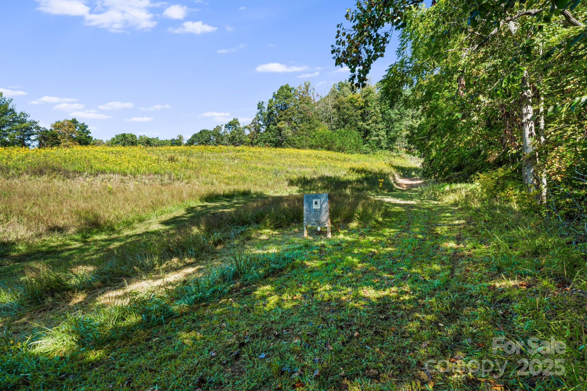 456 & 000 Maney Branch Road - Photo 23