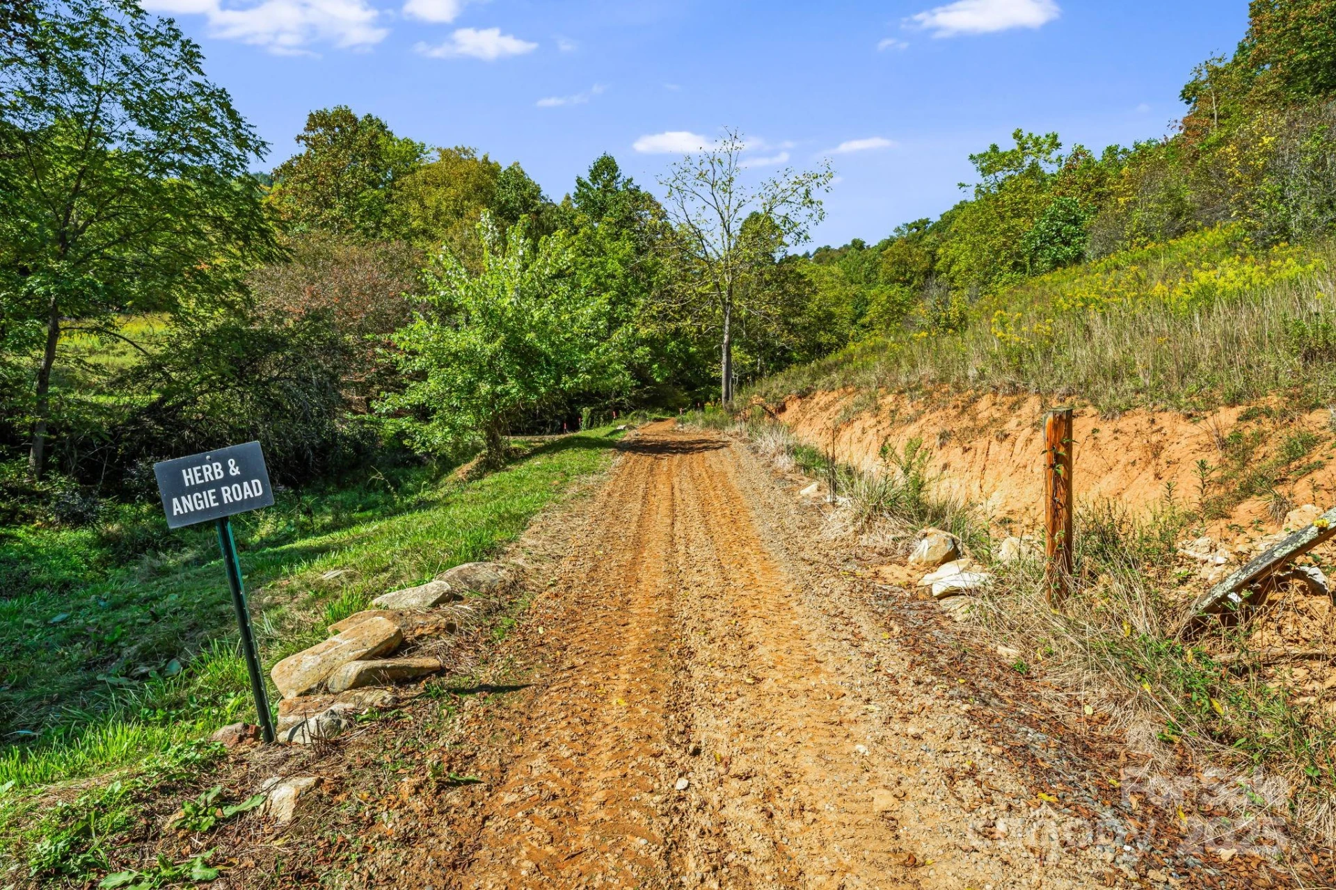 456 & 000 Maney Branch Road - Photo 29