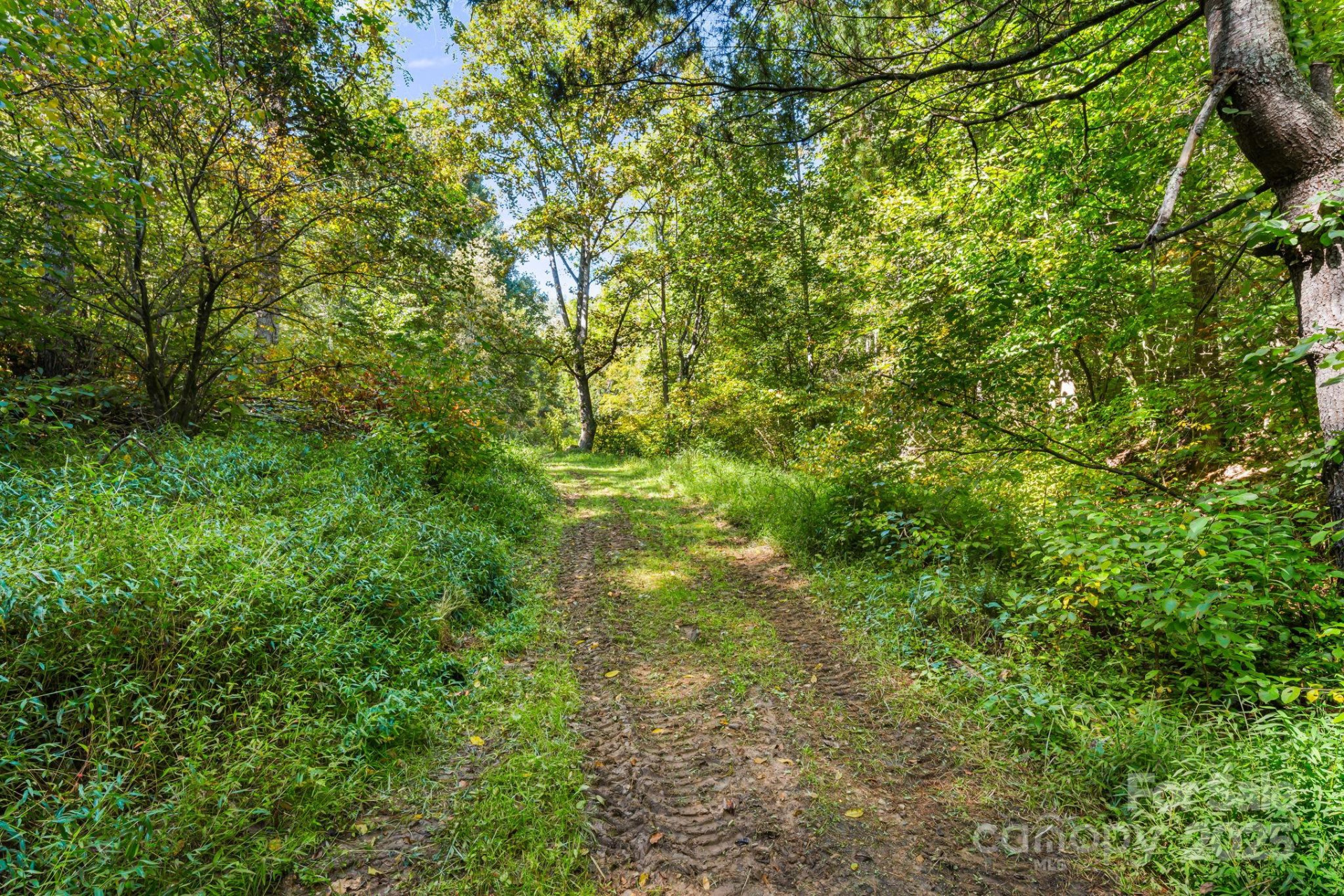 456 & 000 Maney Branch Road - Photo 32