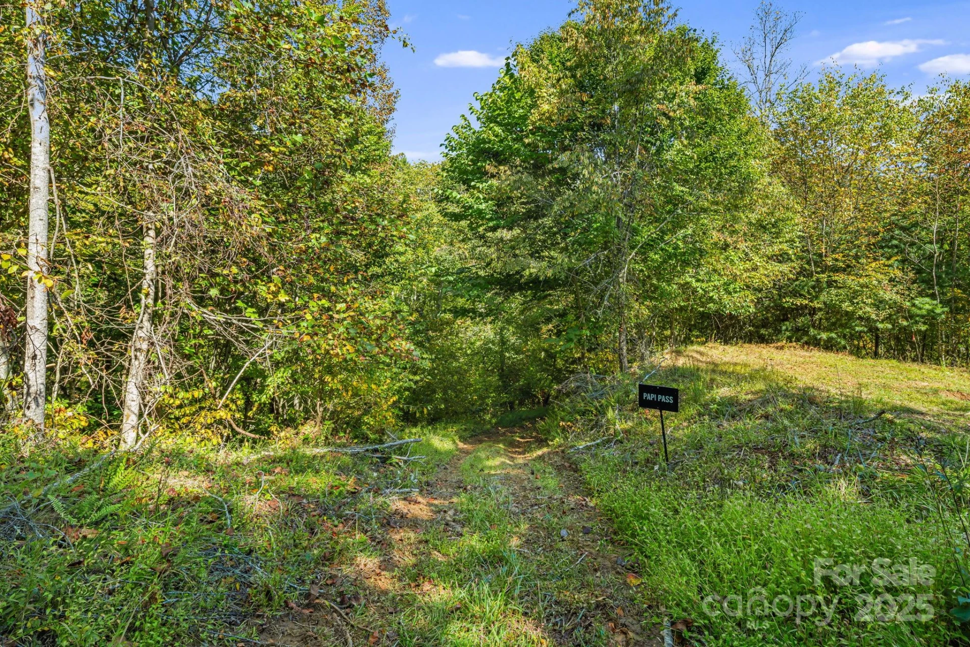 456 & 000 Maney Branch Road - Photo 39