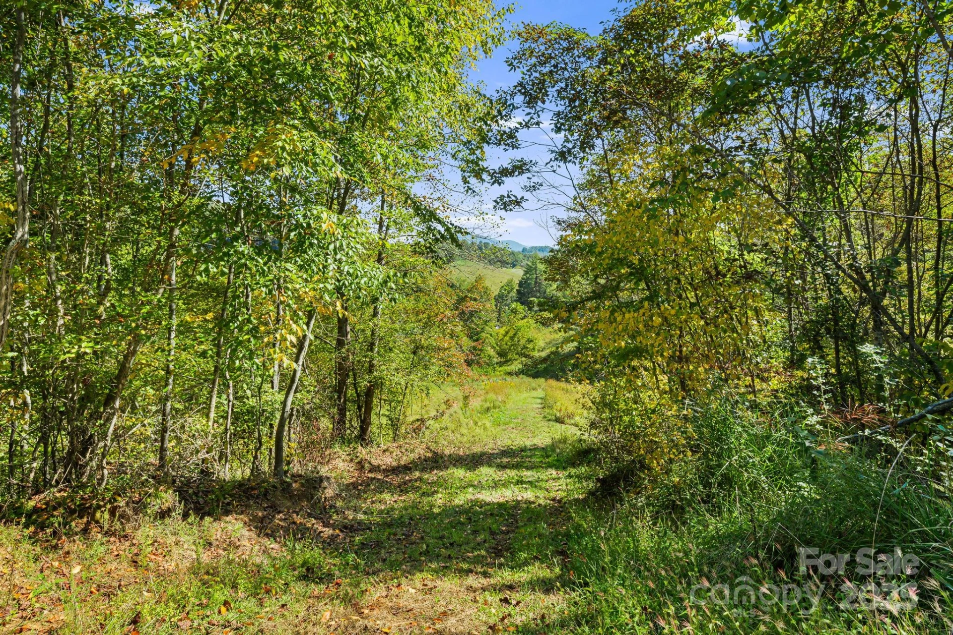 456 & 000 Maney Branch Road - Photo 40