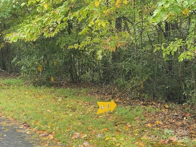 00 McDonald Court, Pisgah Forest, NC, 28768