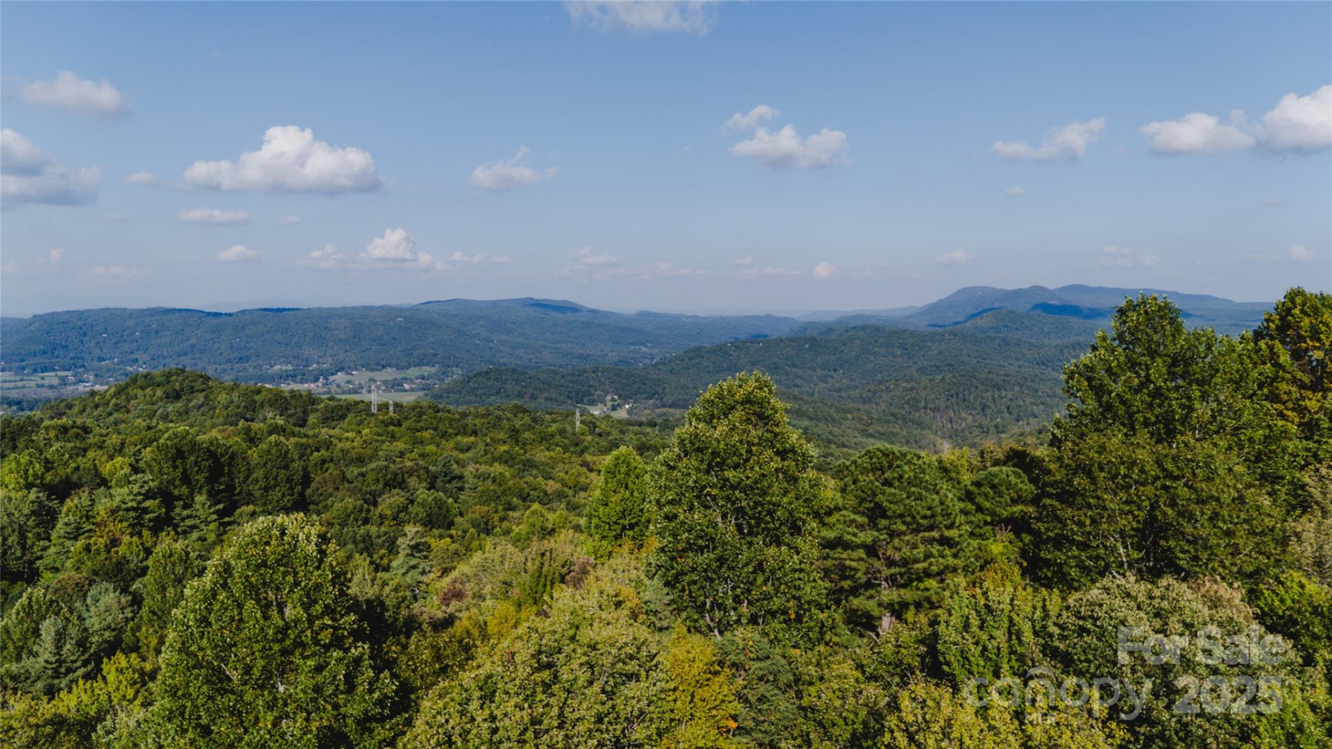 00 McDonald Court #L-1 - Photo 2