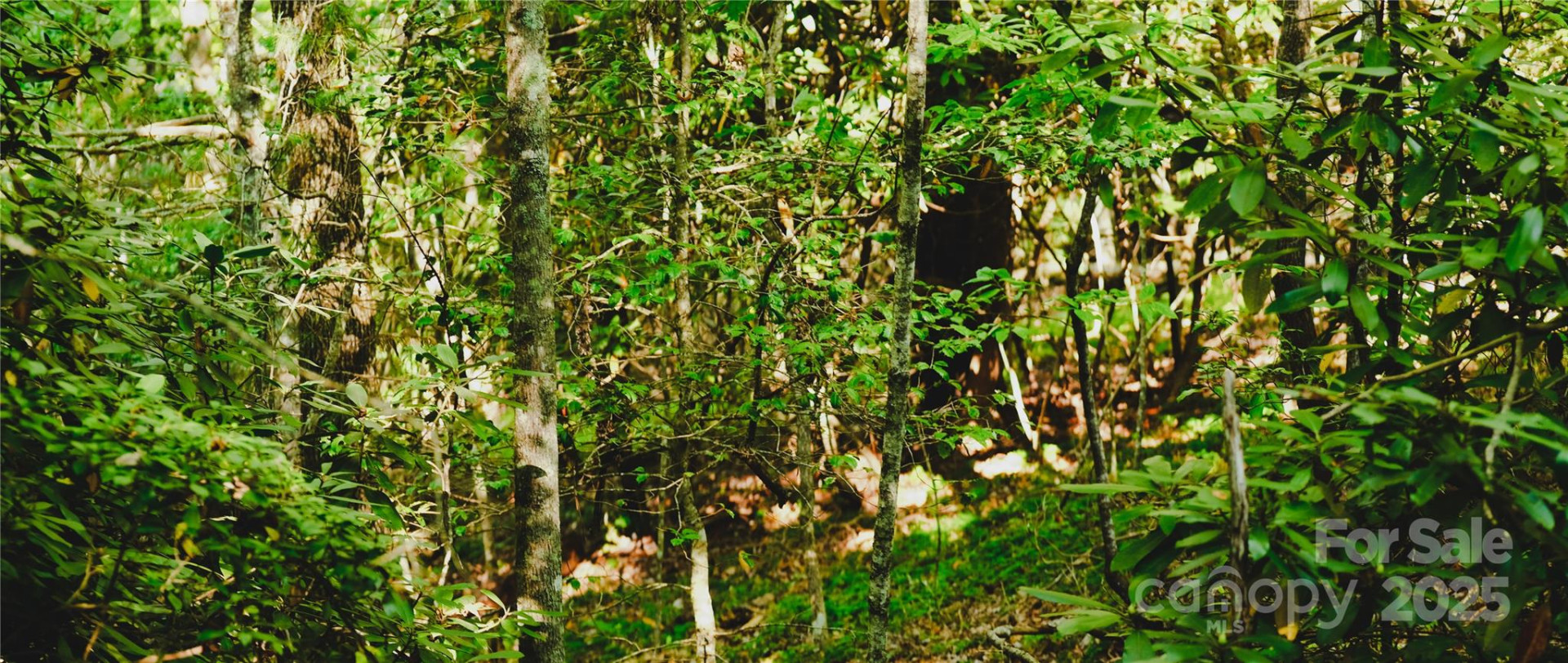 00 McDonald Court #L-1 - Photo 12