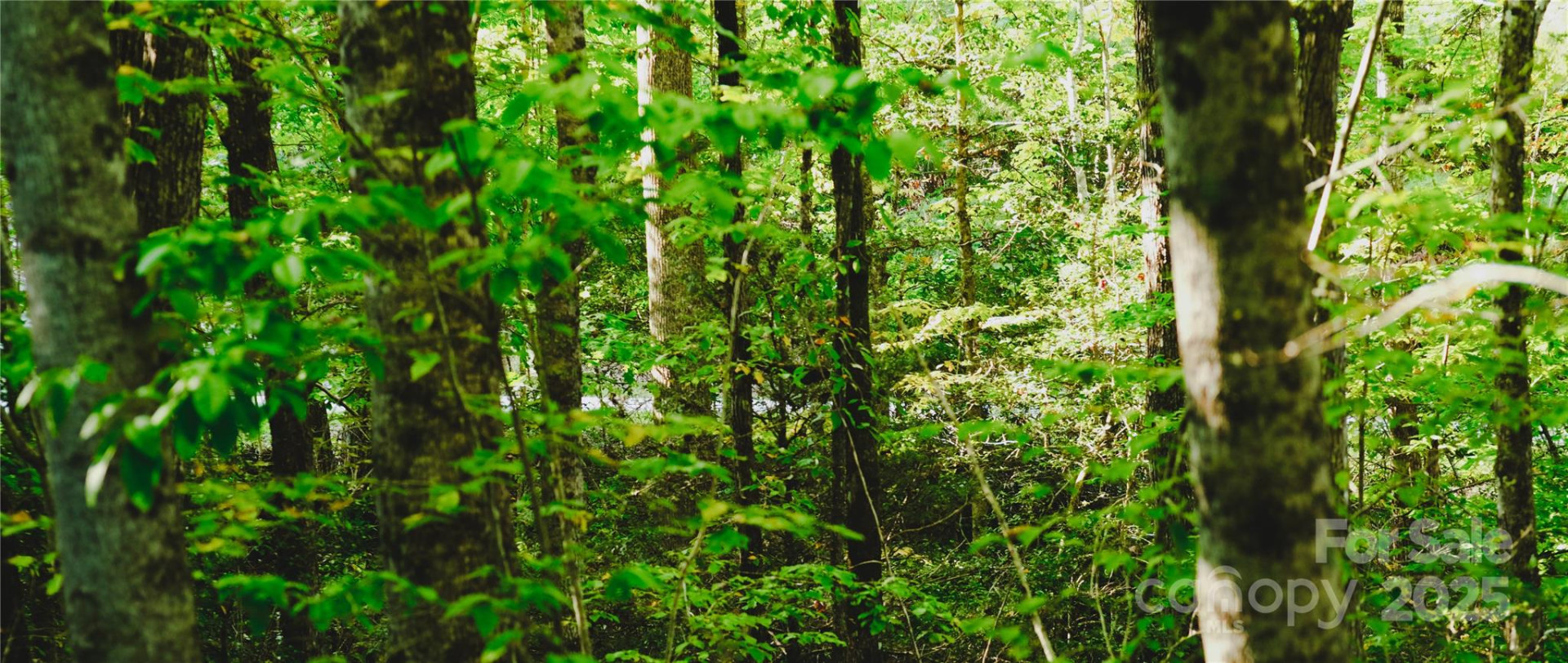 00 McDonald Court #L-1 - Photo 13