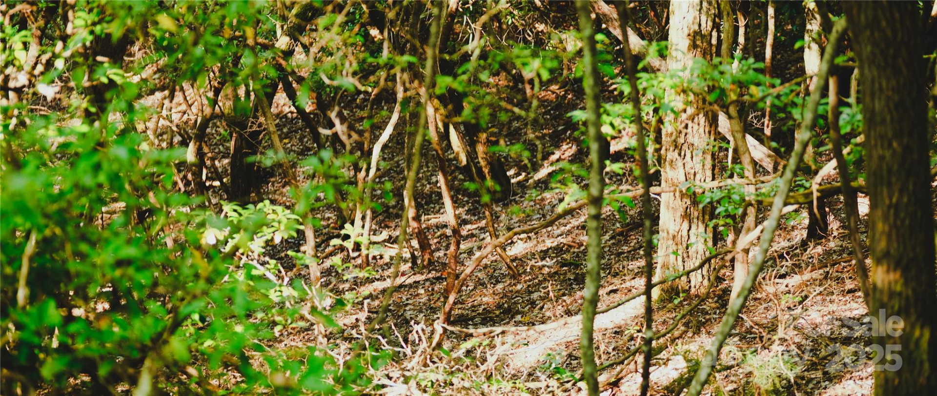 00 McDonald Court #L-1 - Photo 14