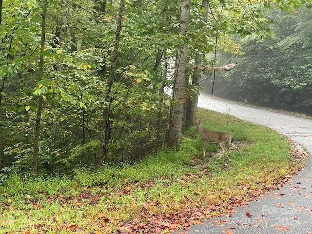 00 McDonald Court #L-1 - Photo 3