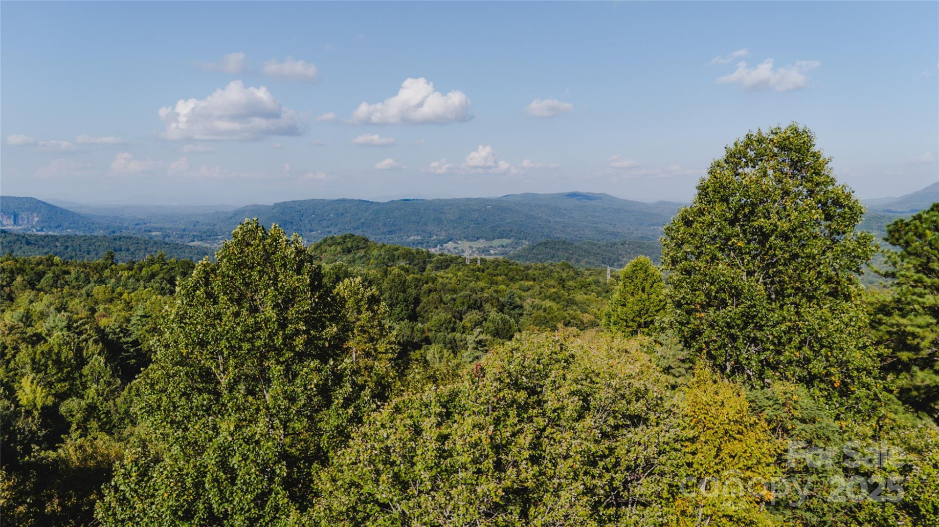 00 McDonald Court #L-1 - Photo 4