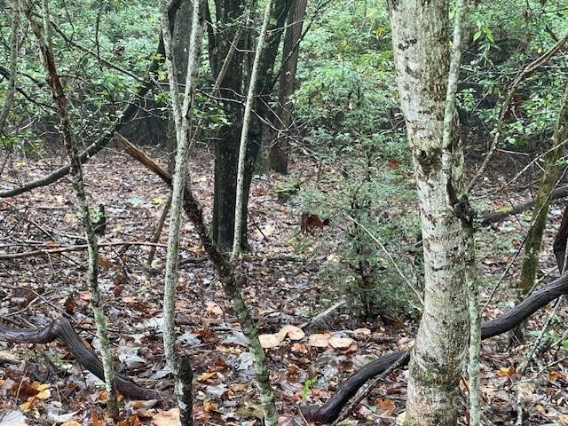 00 McDonald Court #L-1 - Photo 7