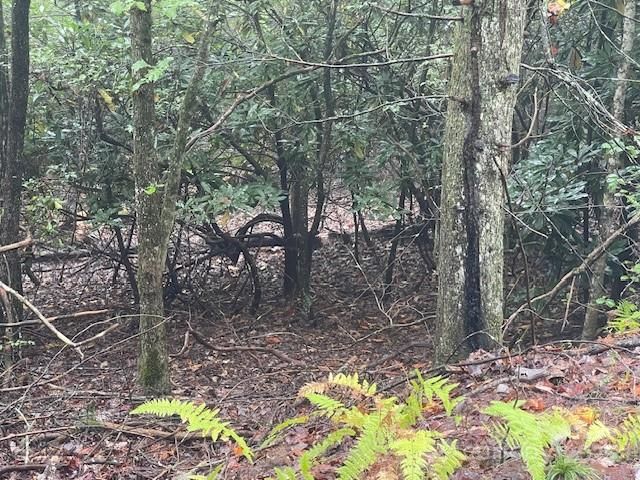 00 McDonald Court, Pisgah Forest, NC, 28768