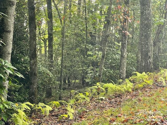 00 McDonald Court - Photo 2