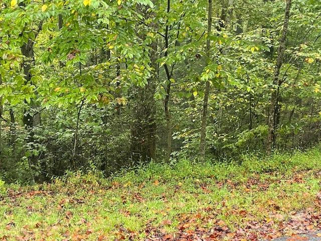 00 McDonald Court - Photo 4