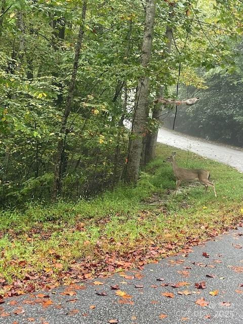 00 McDonald Court - Photo 5