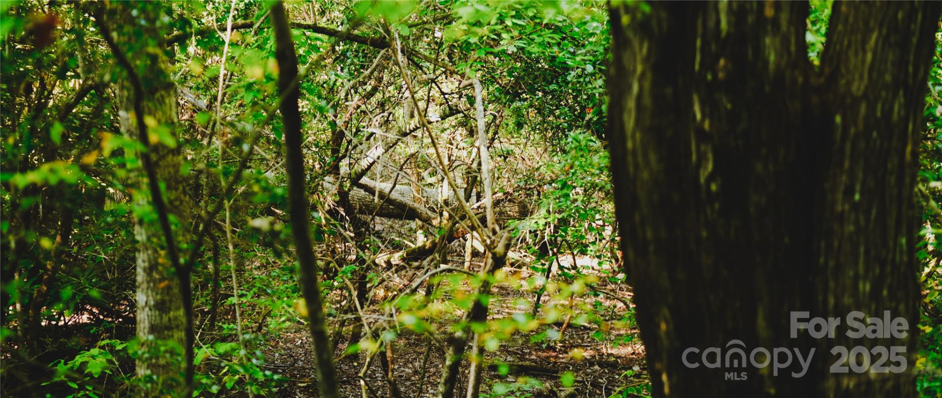 00 McDonald Court - Photo 7