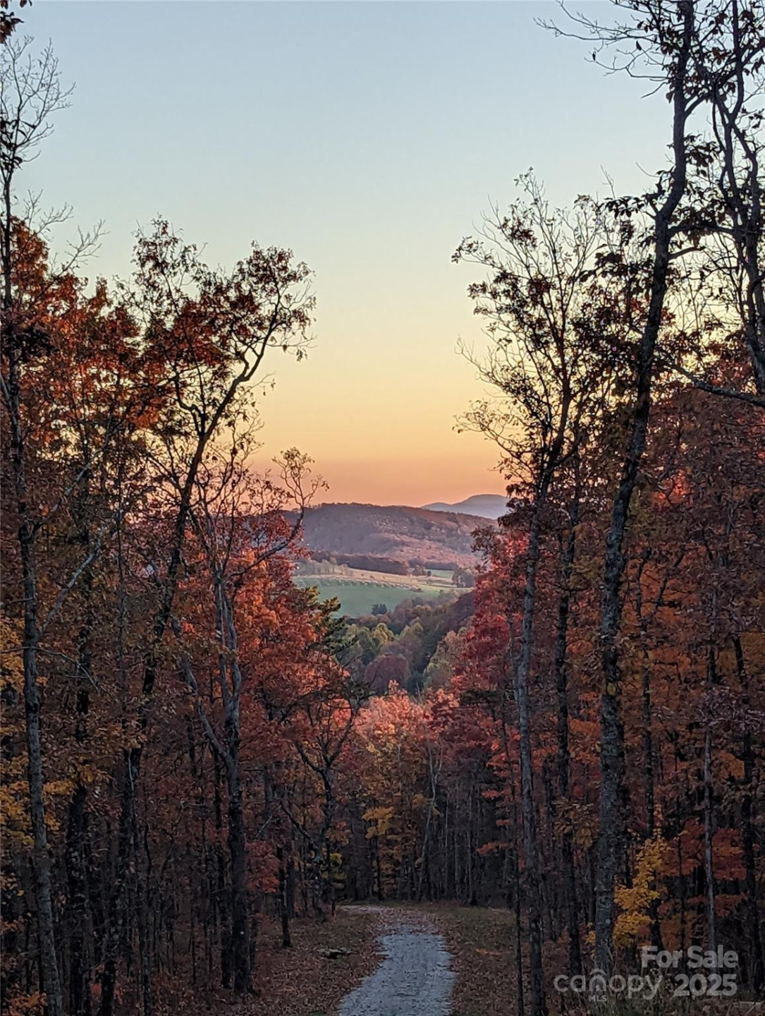 343 Marshall Ridge Road - Photo 3