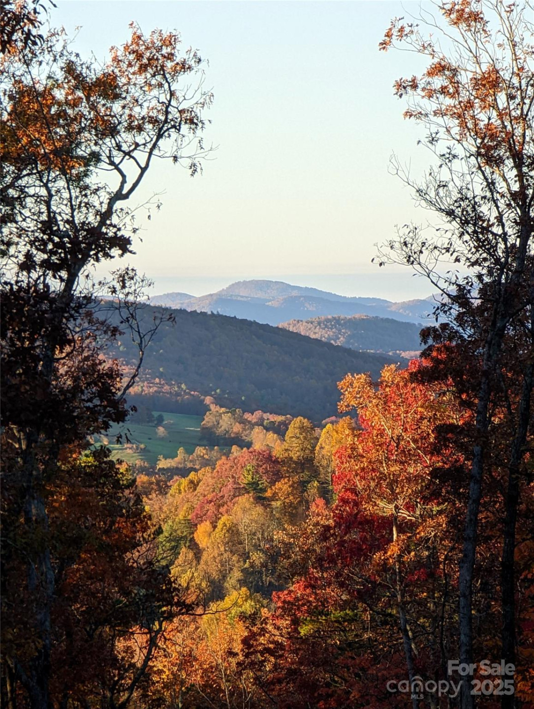 343 Marshall Ridge Road - Photo 22