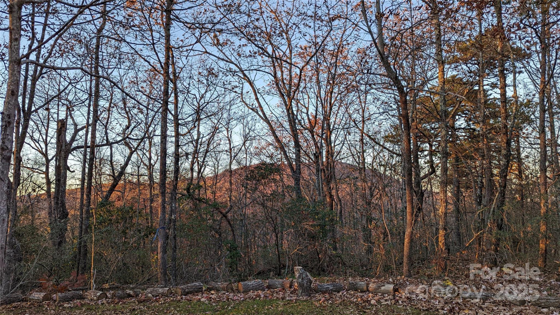 343 Marshall Ridge Road - Photo 30