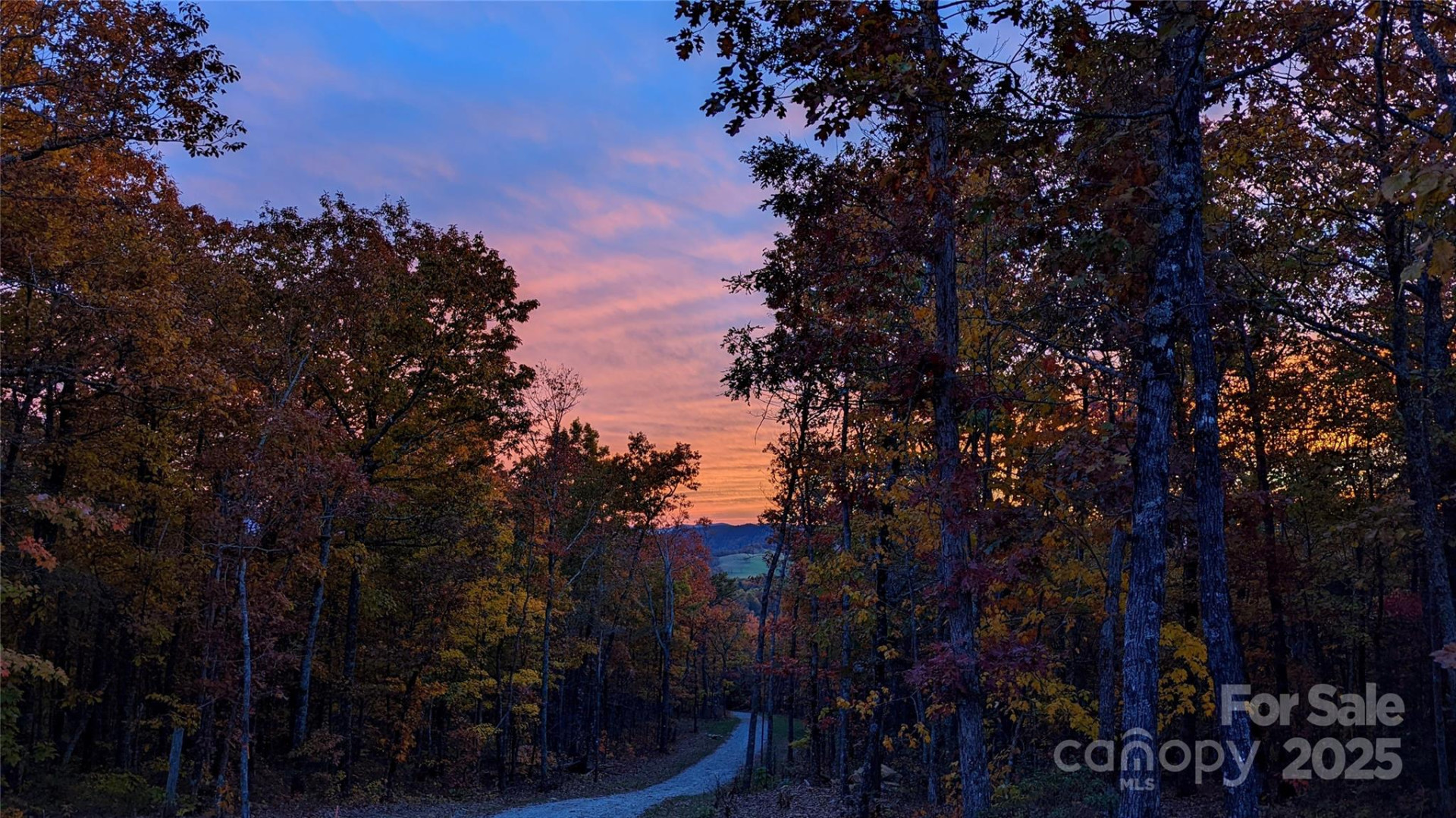 343 Marshall Ridge Road - Photo 38