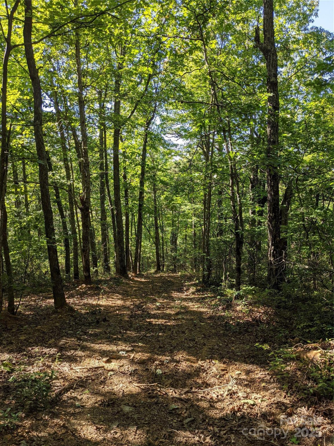 343 Marshall Ridge Road - Photo 43