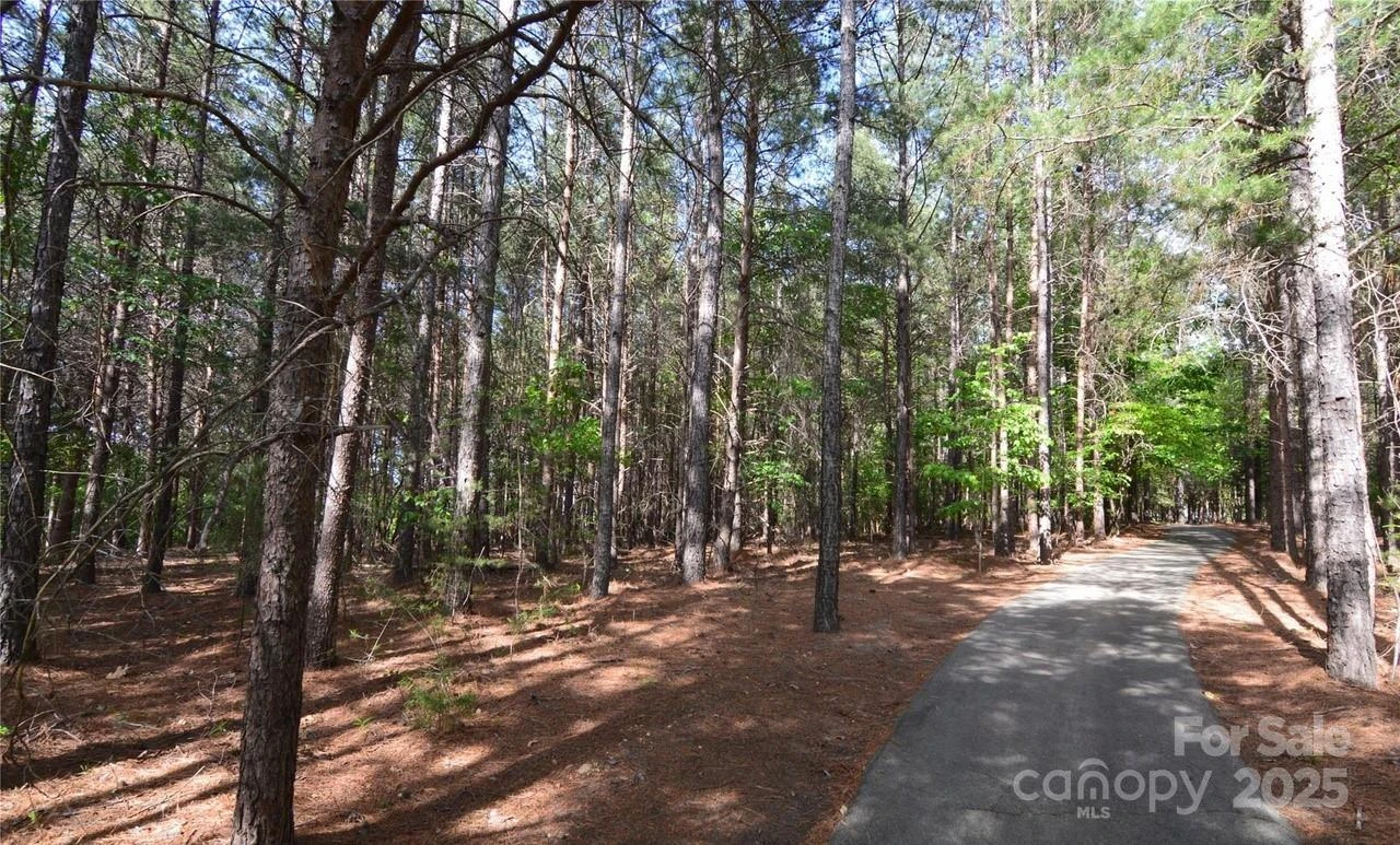 3213 Lake Pointe Drive - Photo 23