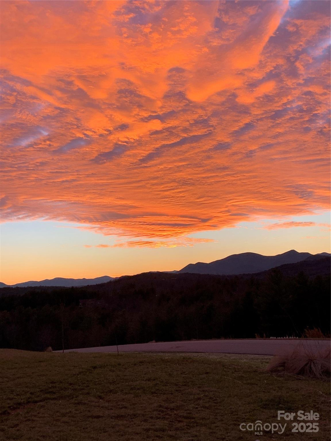 700 Bear Cliff Drive - Photo 41