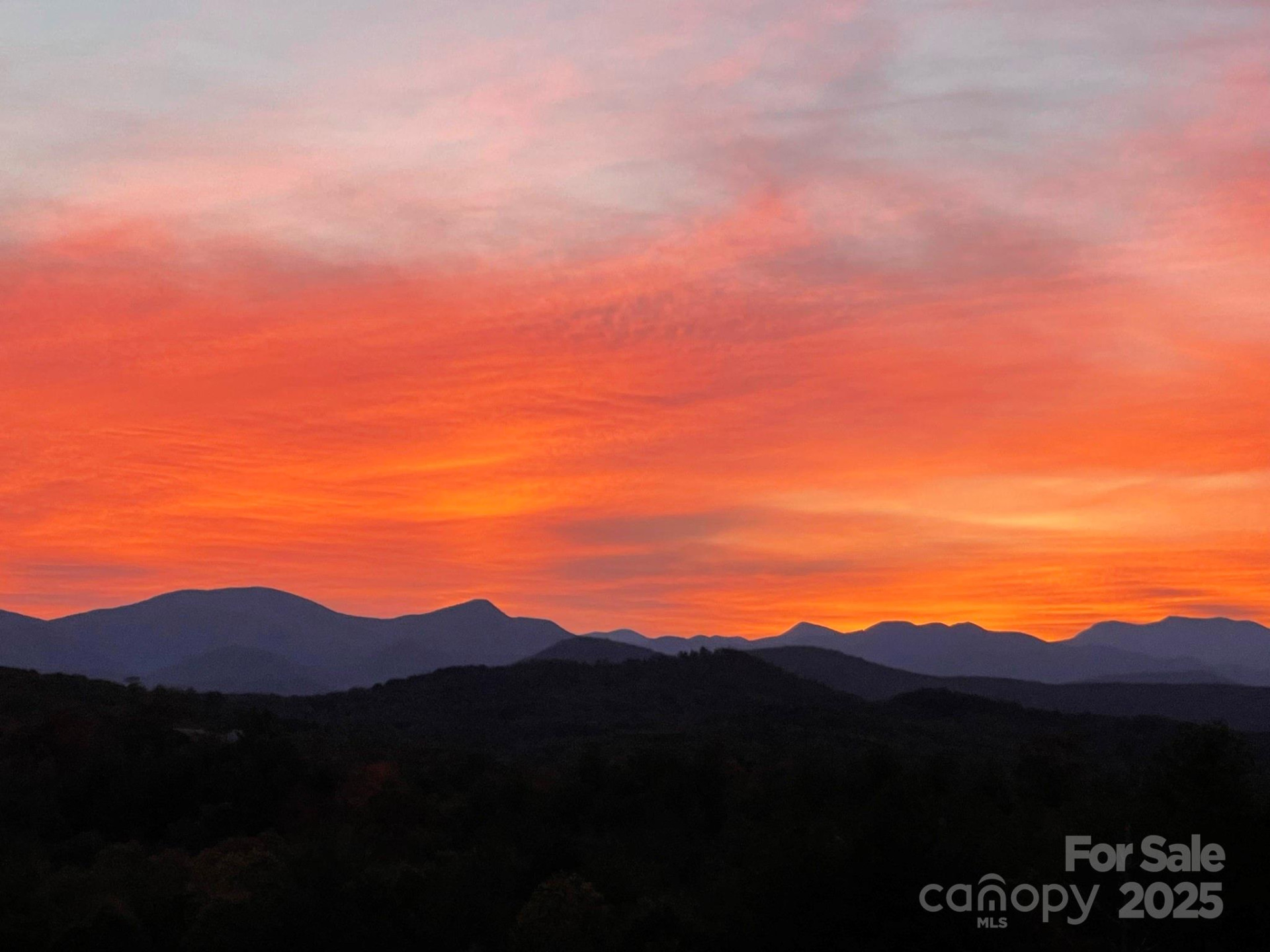 700 Bear Cliff Drive - Photo 42