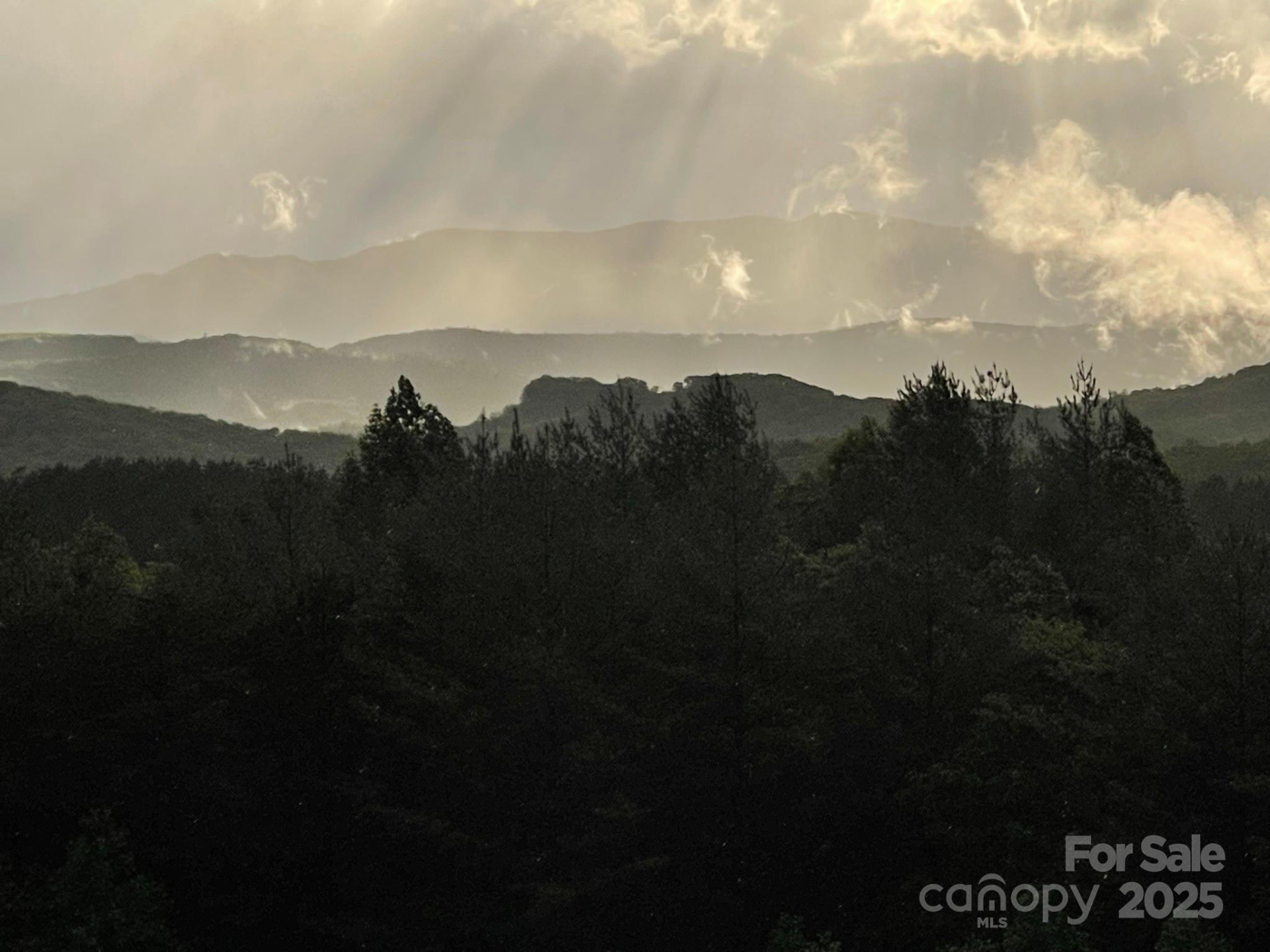 700 Bear Cliff Drive - Photo 43