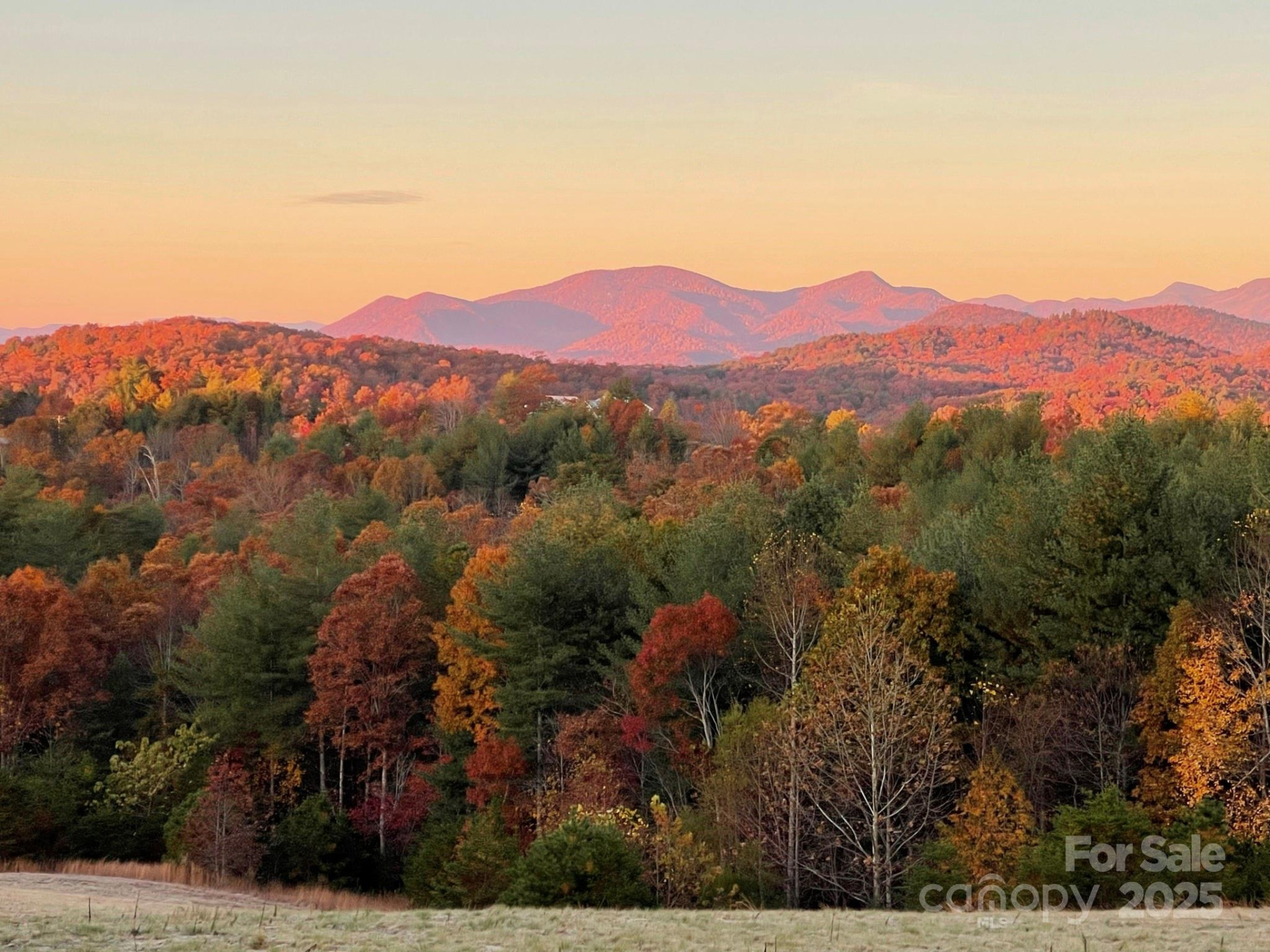 700 Bear Cliff Drive - Photo 44