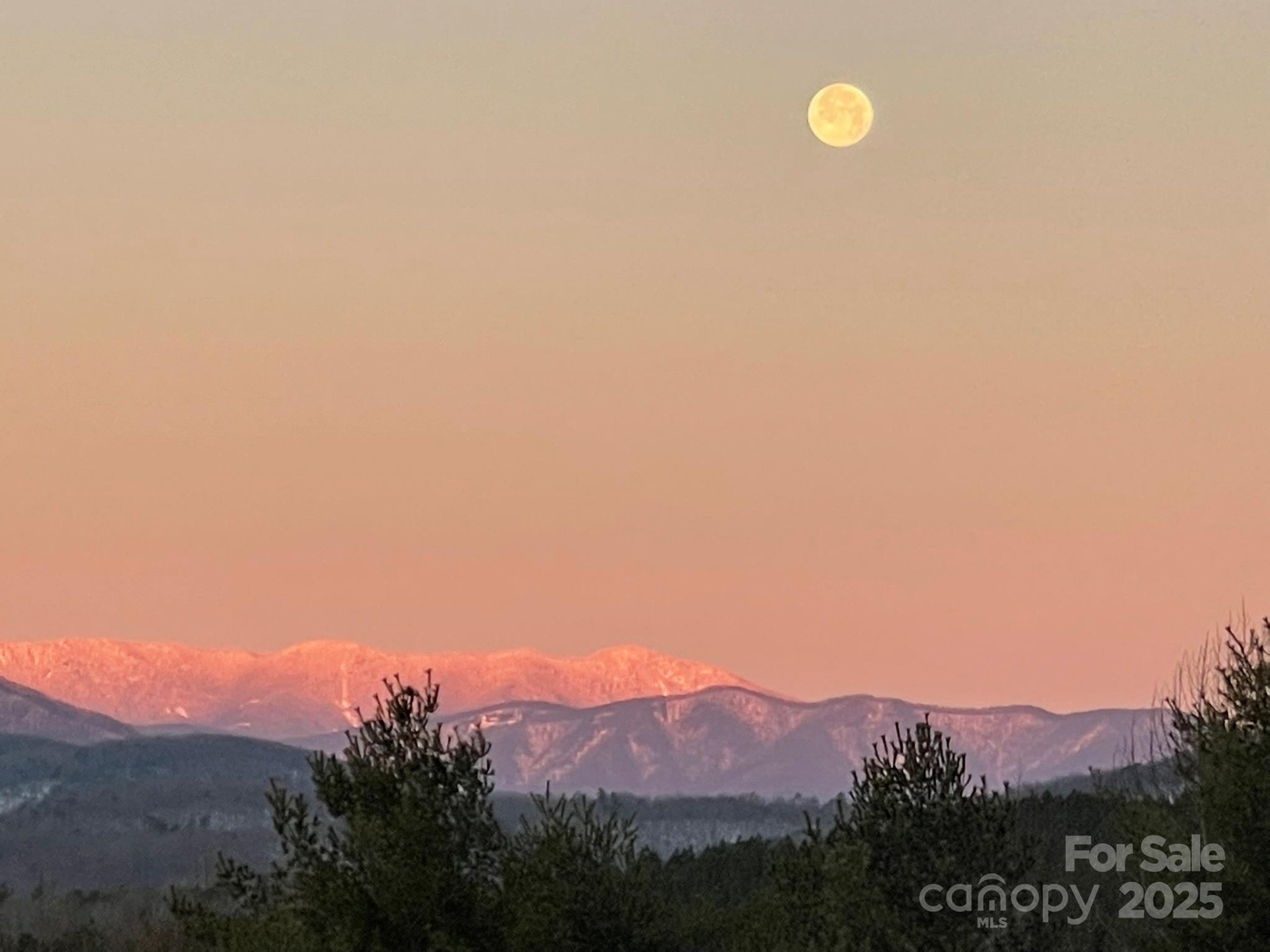 700 Bear Cliff Drive - Photo 45