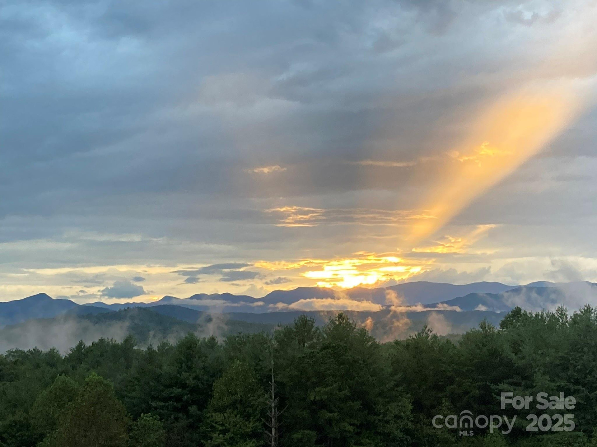 700 Bear Cliff Drive - Photo 46