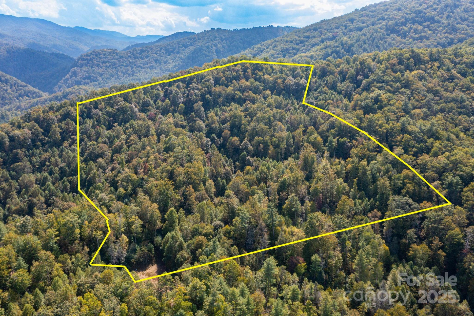 999 NC 209 Highway #9 - Photo 2