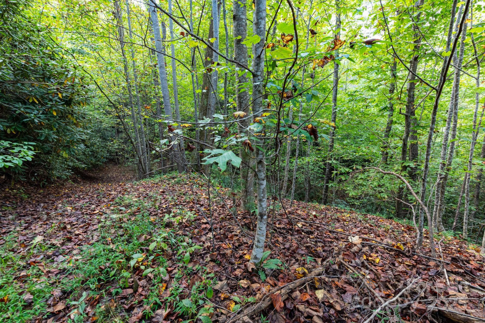 999 NC 209 Highway #9 - Photo 11