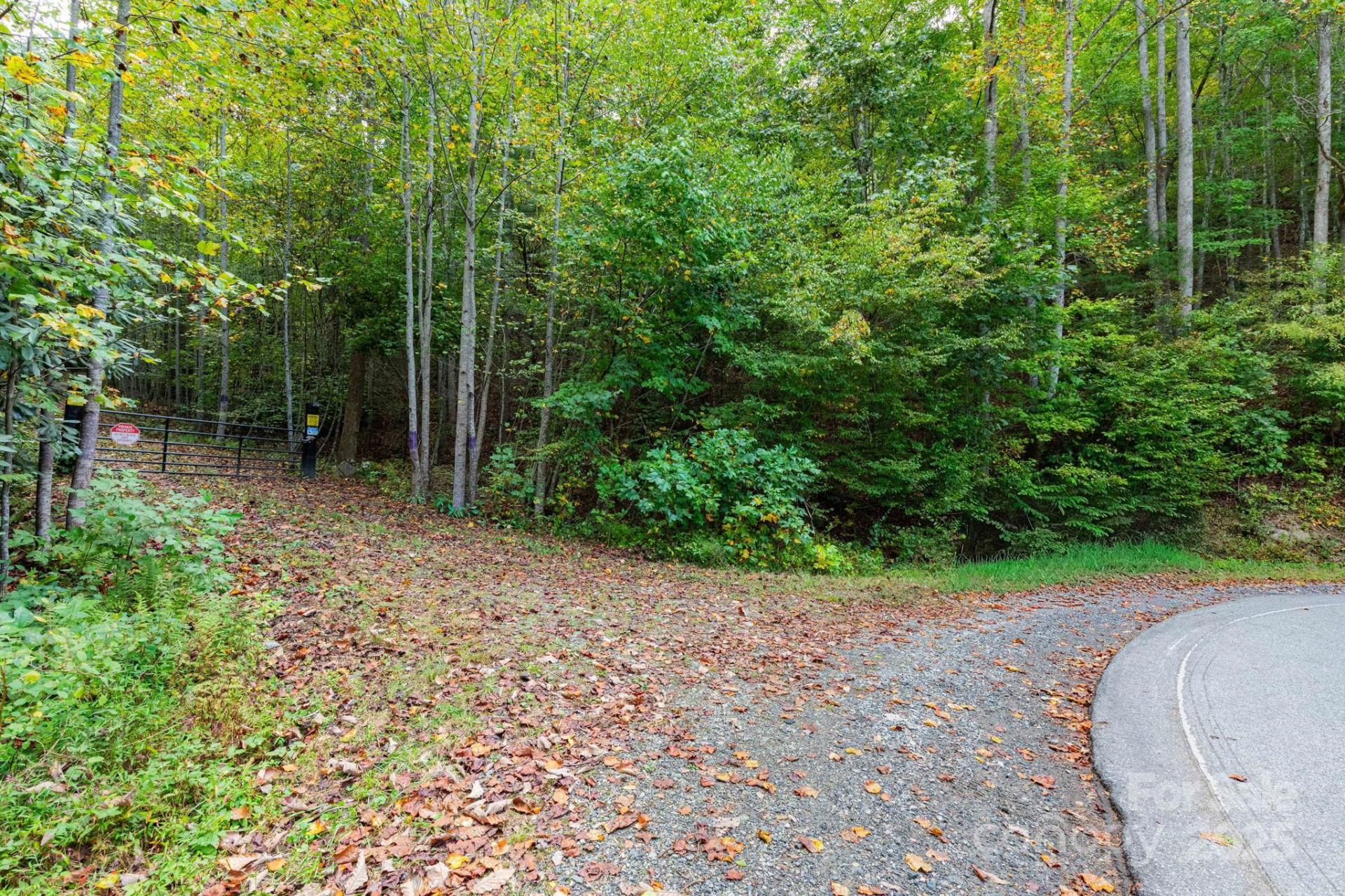 999 NC 209 Highway #9 - Photo 12