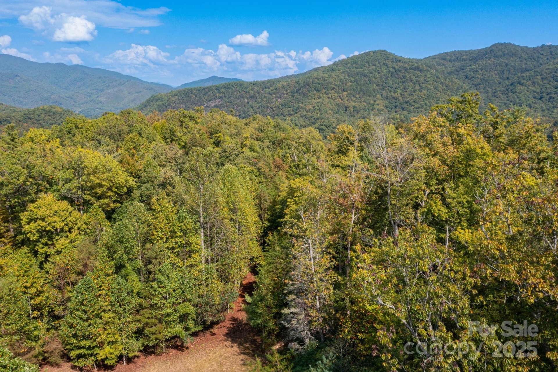 999 NC 209 Highway #9 - Photo 13