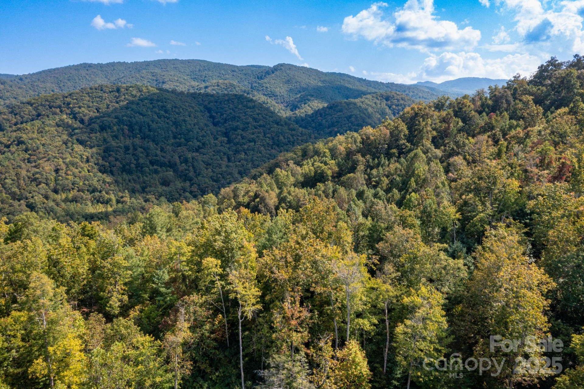 999 NC 209 Highway #9 - Photo 14