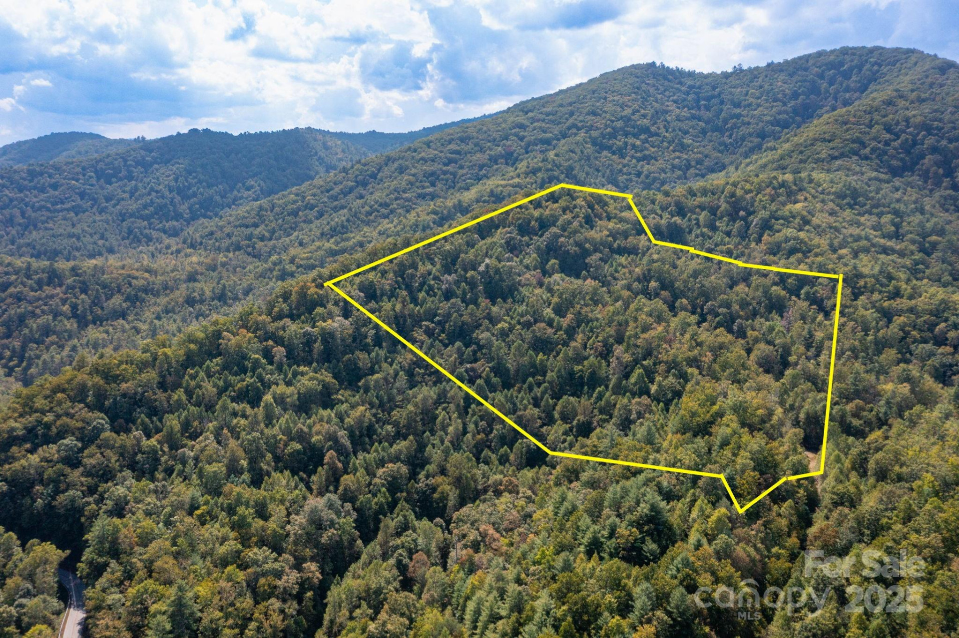 999 NC 209 Highway #9 - Photo 3