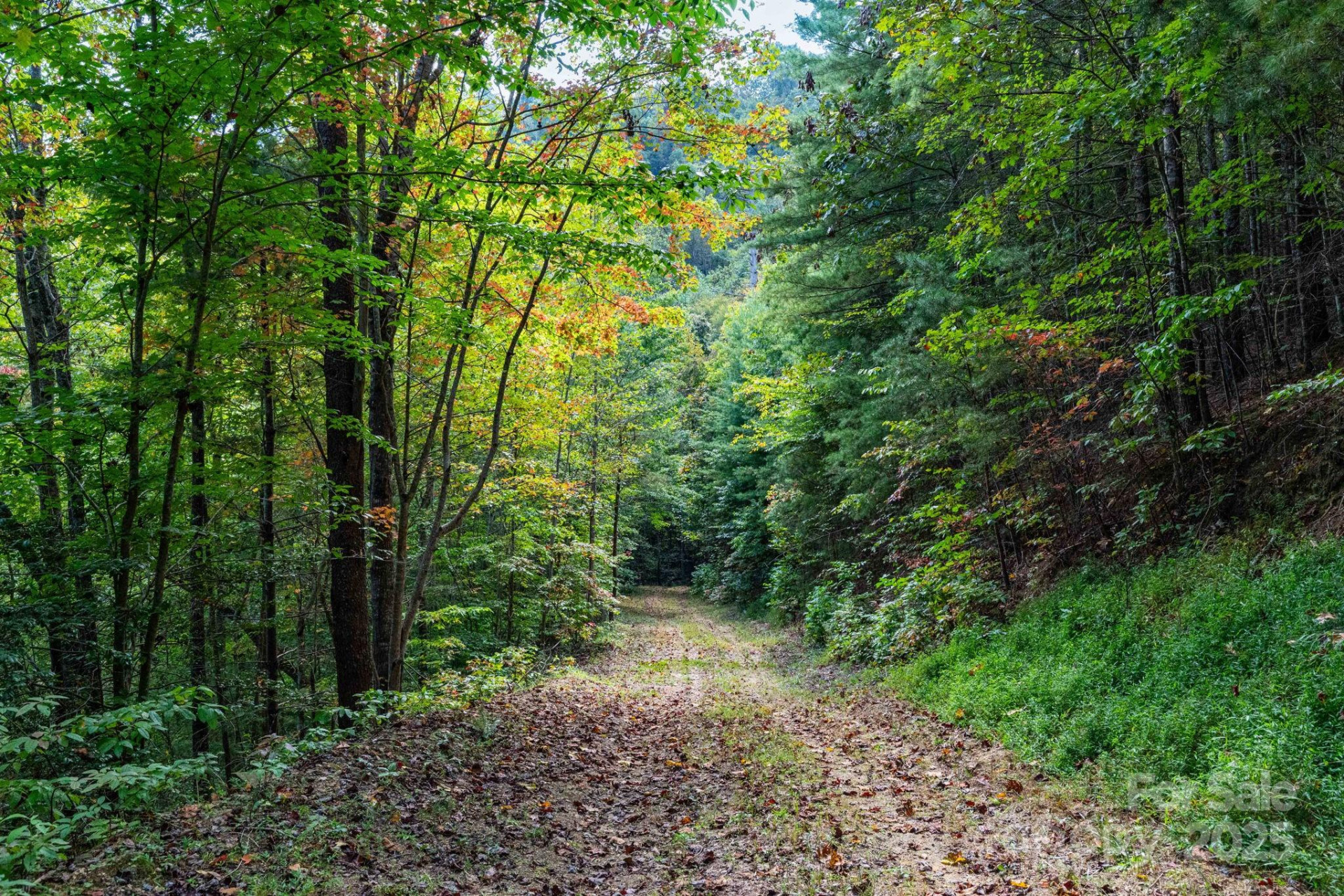 999 NC 209 Highway #9 - Photo 4