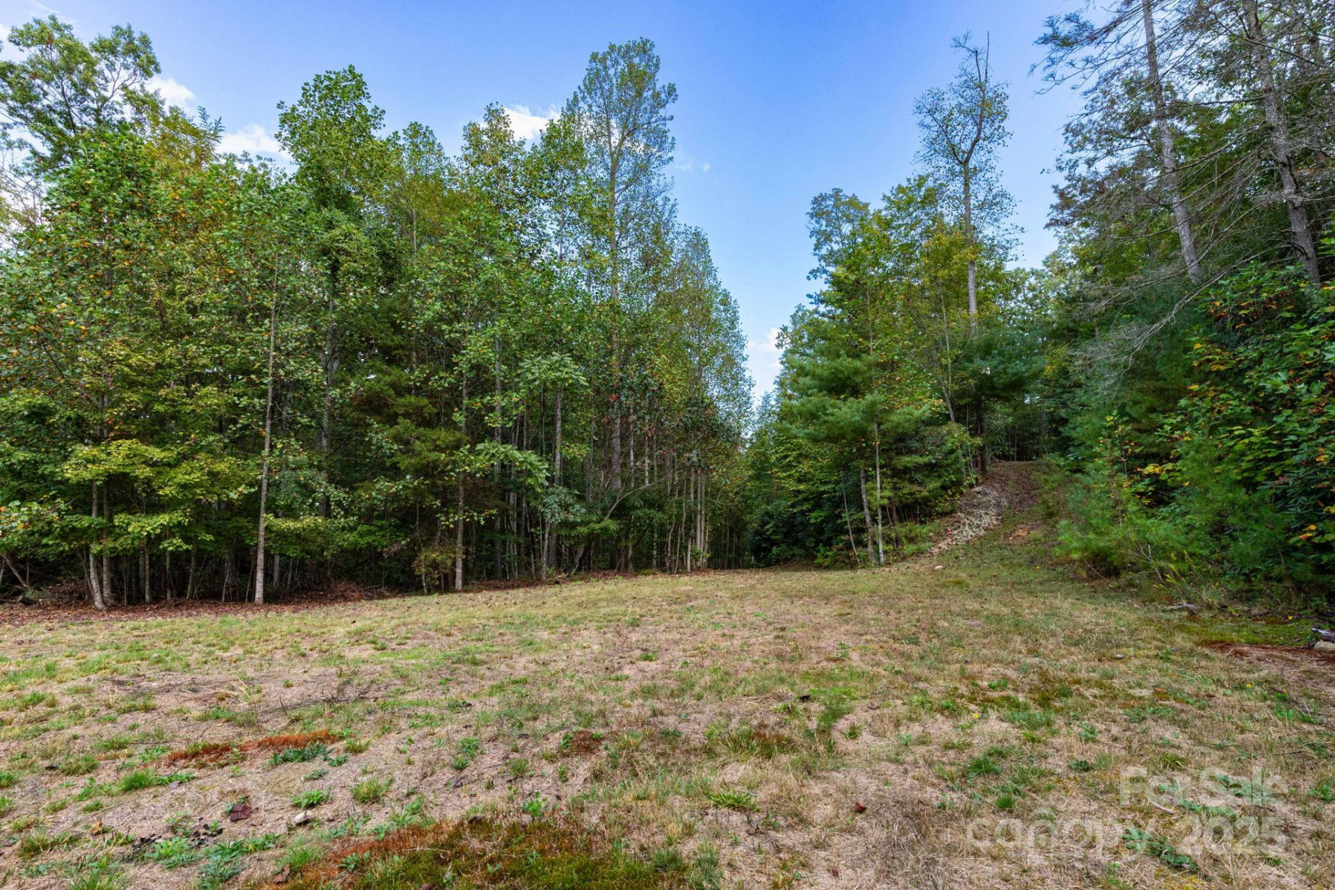 999 NC 209 Highway #9 - Photo 6