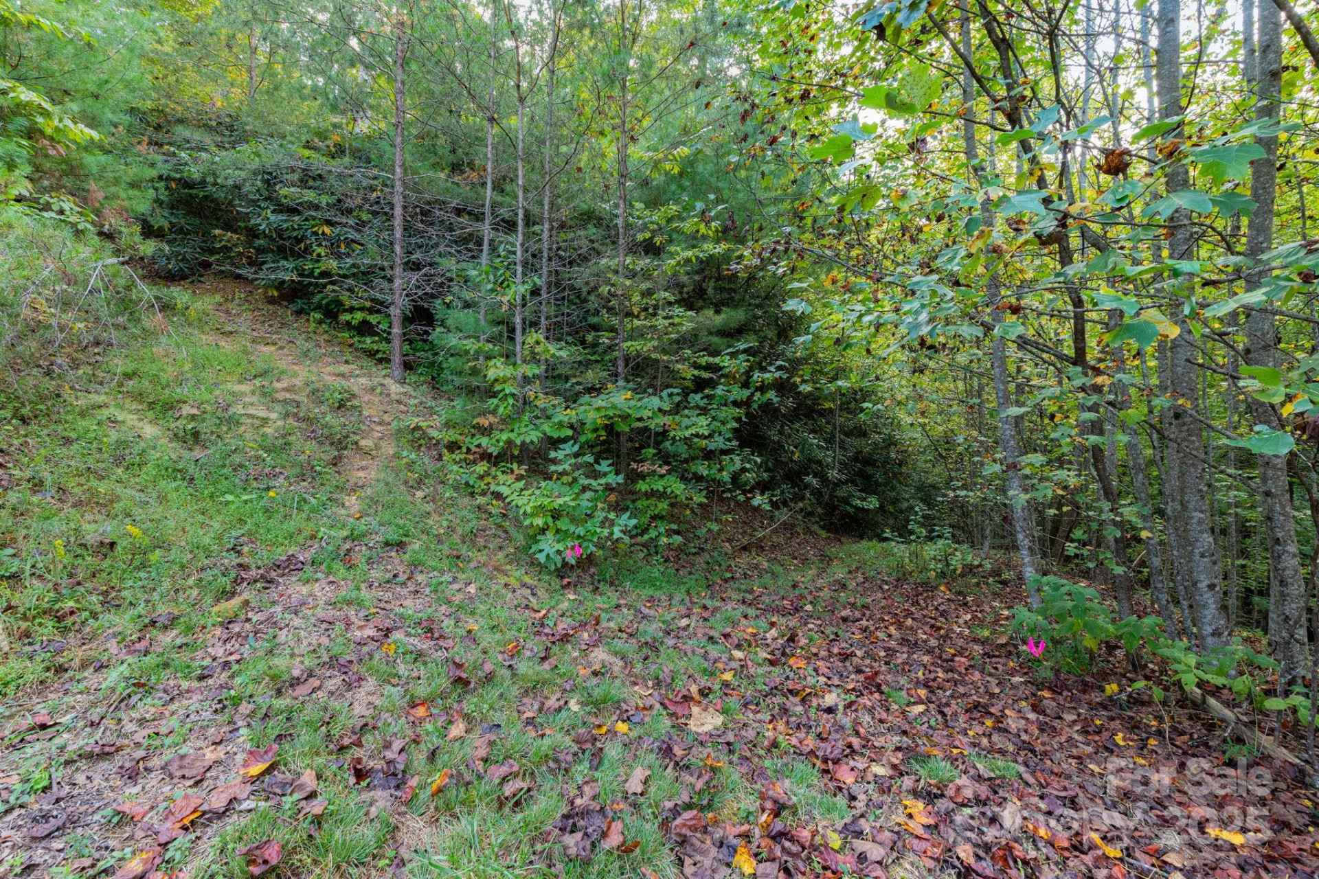 999 NC 209 Highway #9 - Photo 8