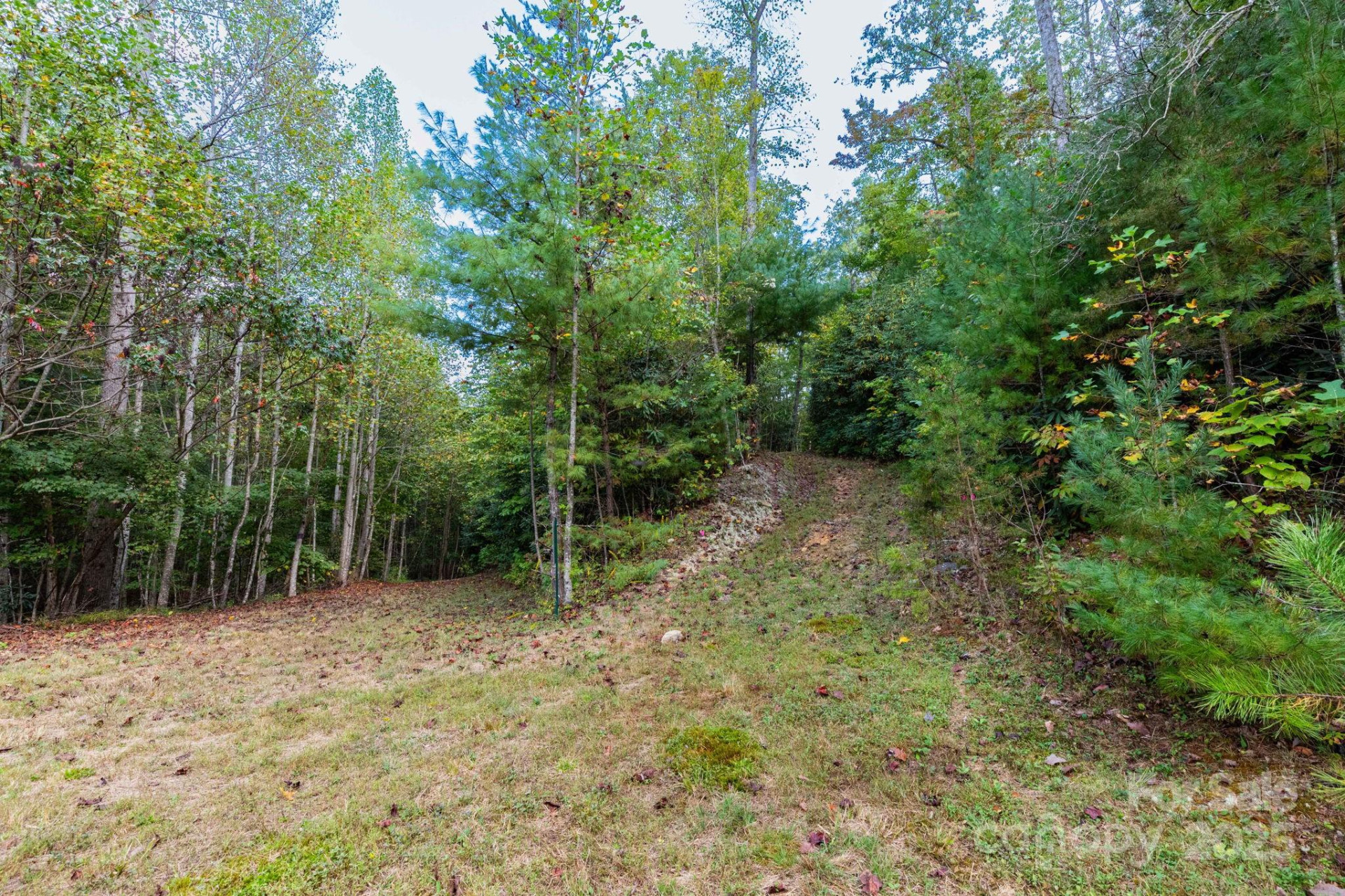 999 NC 209 Highway #9 - Photo 9